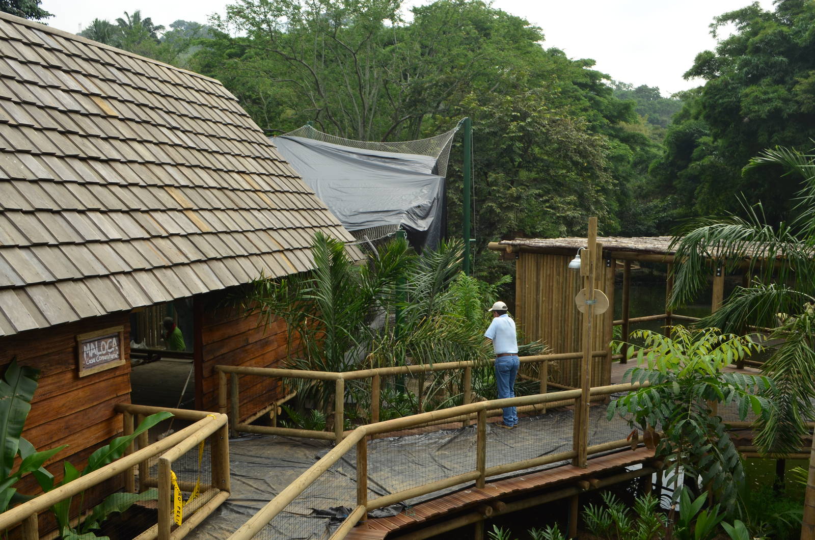 Overview of the path