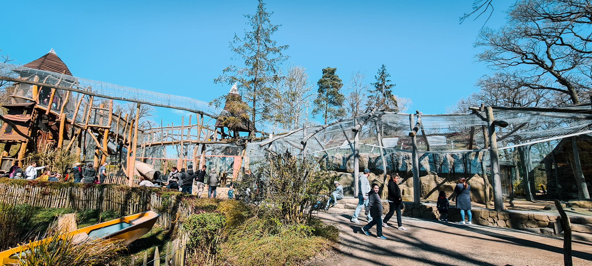 Overview of the playground and the monkey exhibits