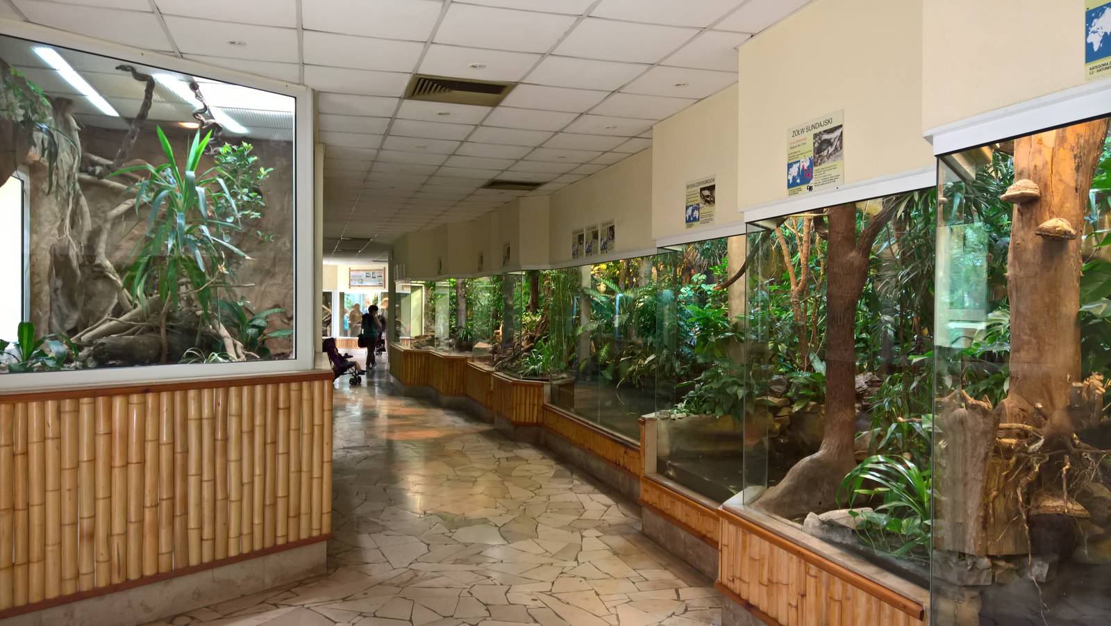 Overview of the reptile house