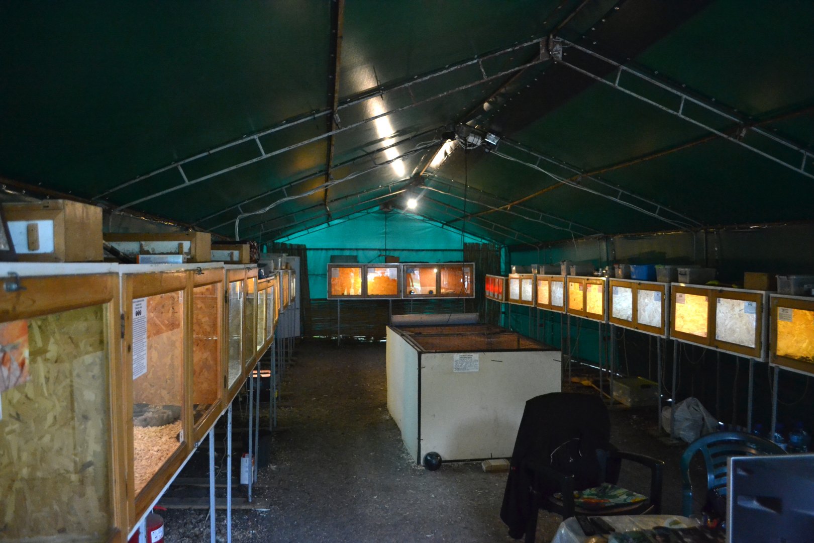 Overview of the terrarium