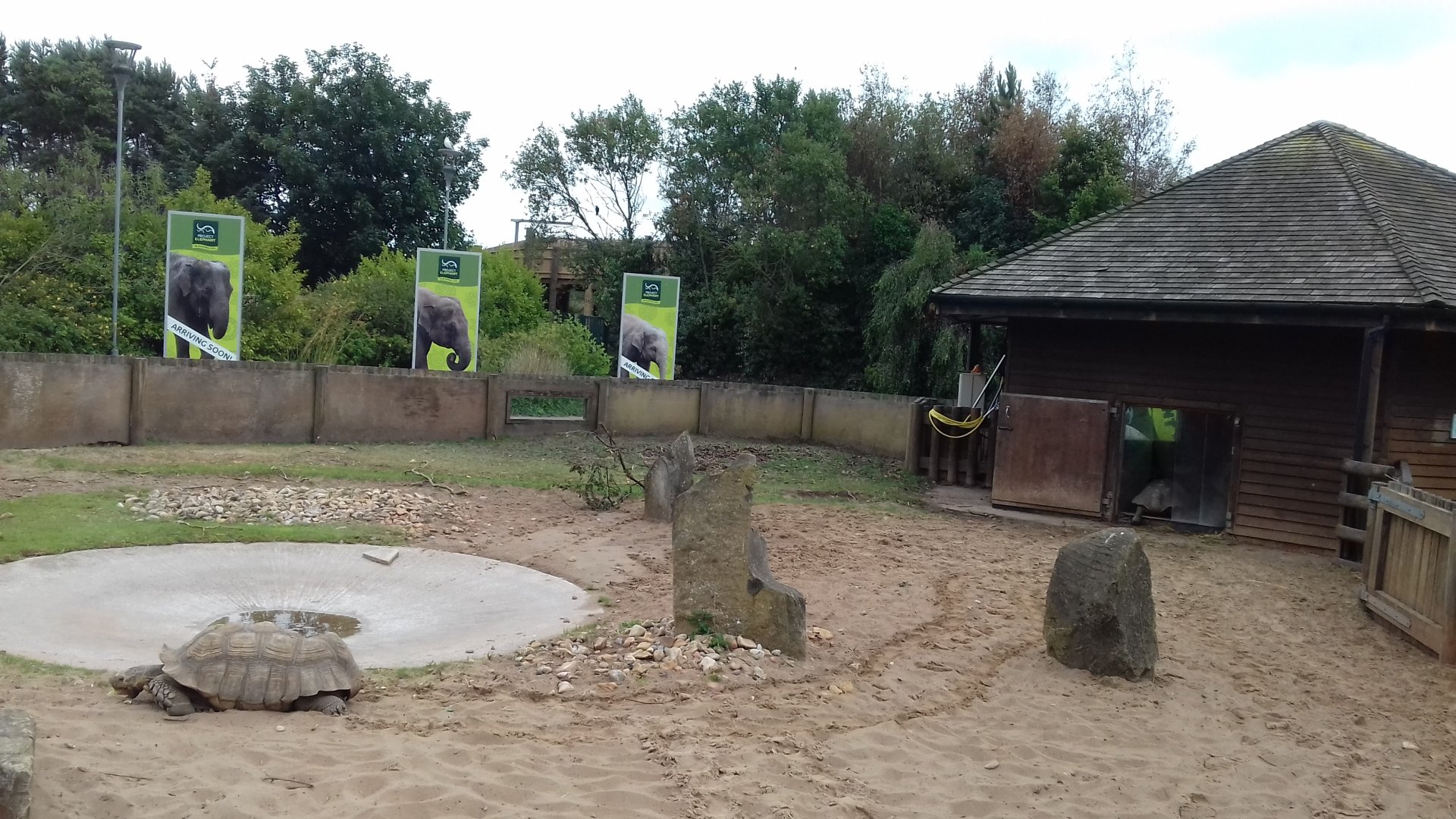 Overview of tortoise enclosure at entrance