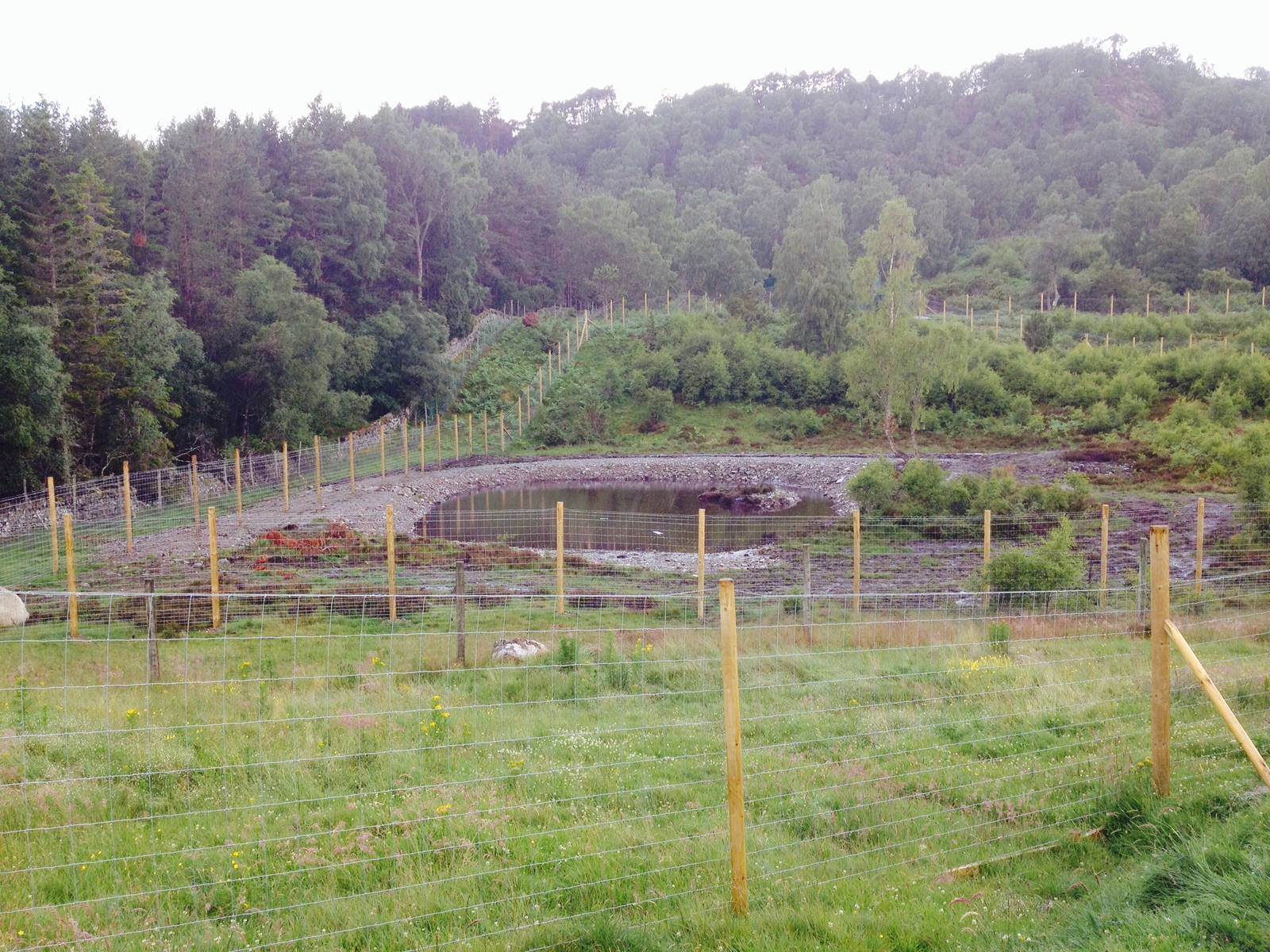 Overview of Victoria's enclosure