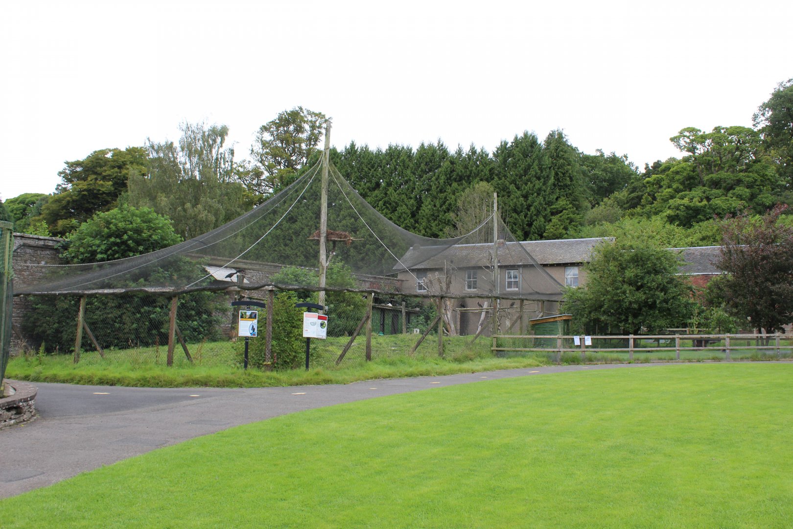 Overview of Waldrapp/Stork aviary