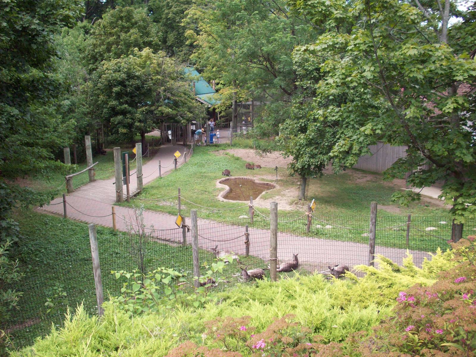 Overview of Wallaby Walkabout