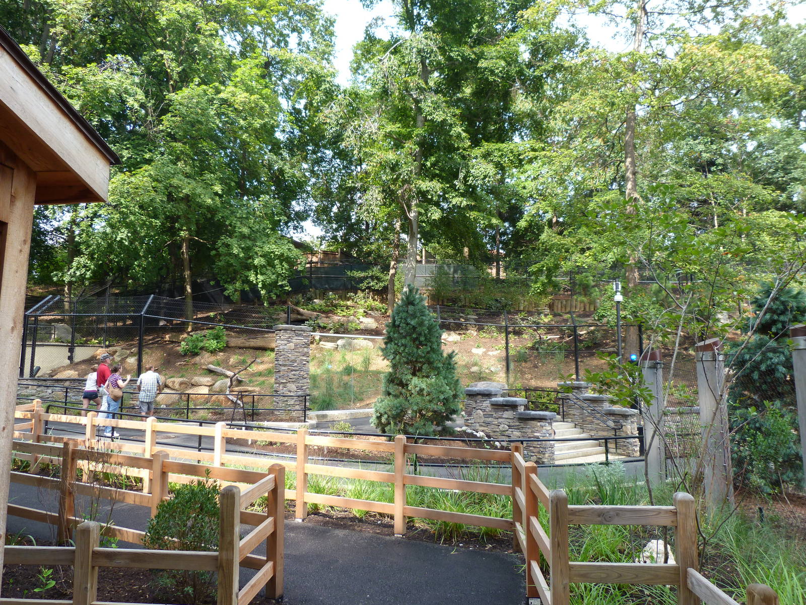 Overview of Wolf Exhibit (American Trails) 9-6-12