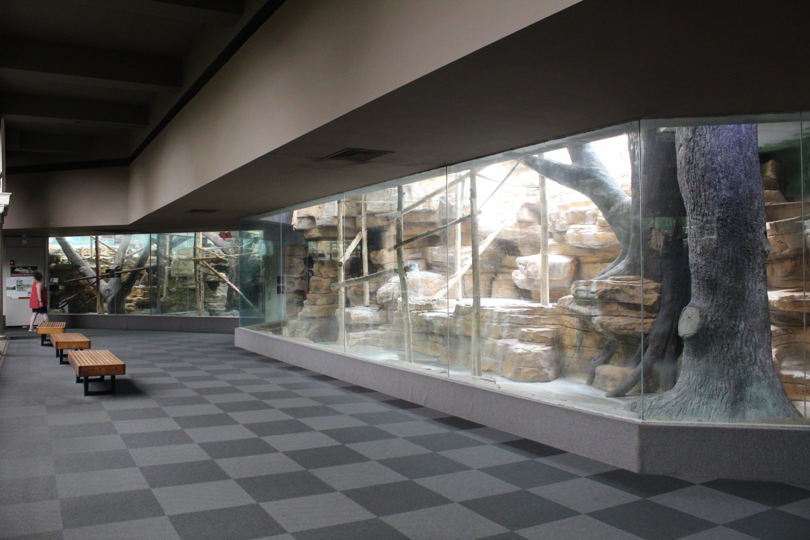 Overview - Primate House