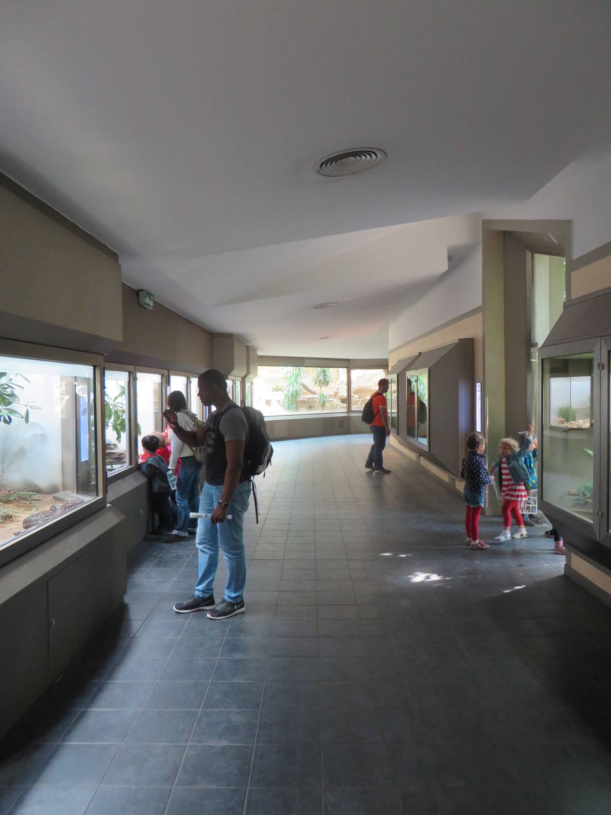 Overview terrarium section