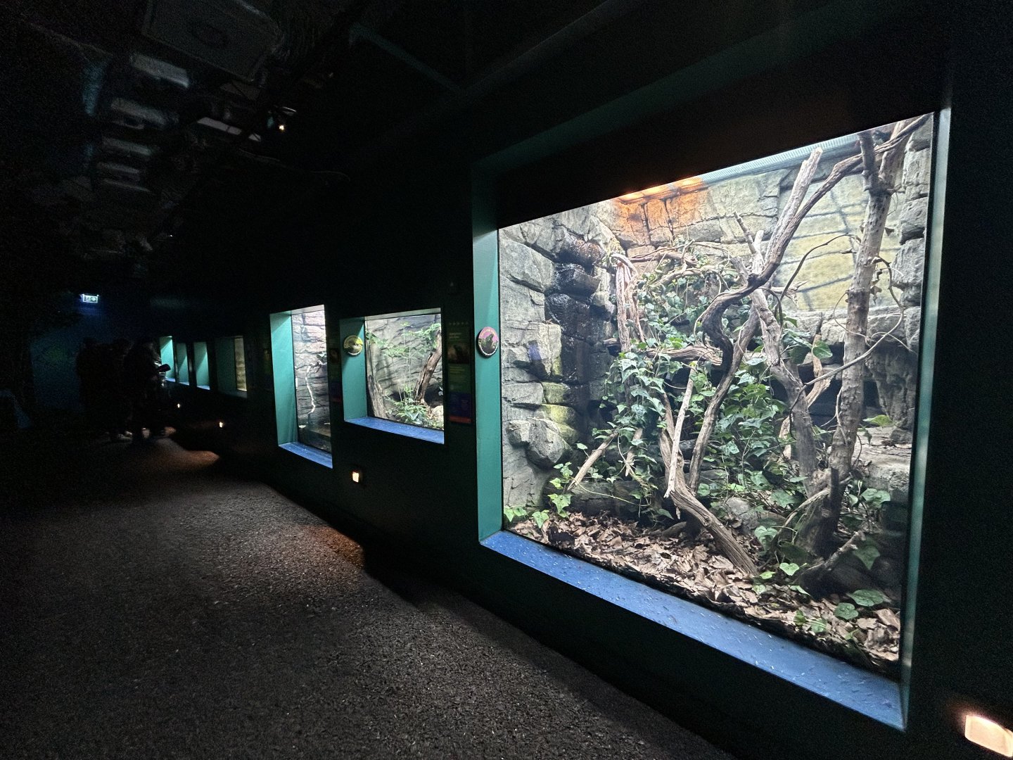 Overview - The Secret Life of Reptiles & Amphibians