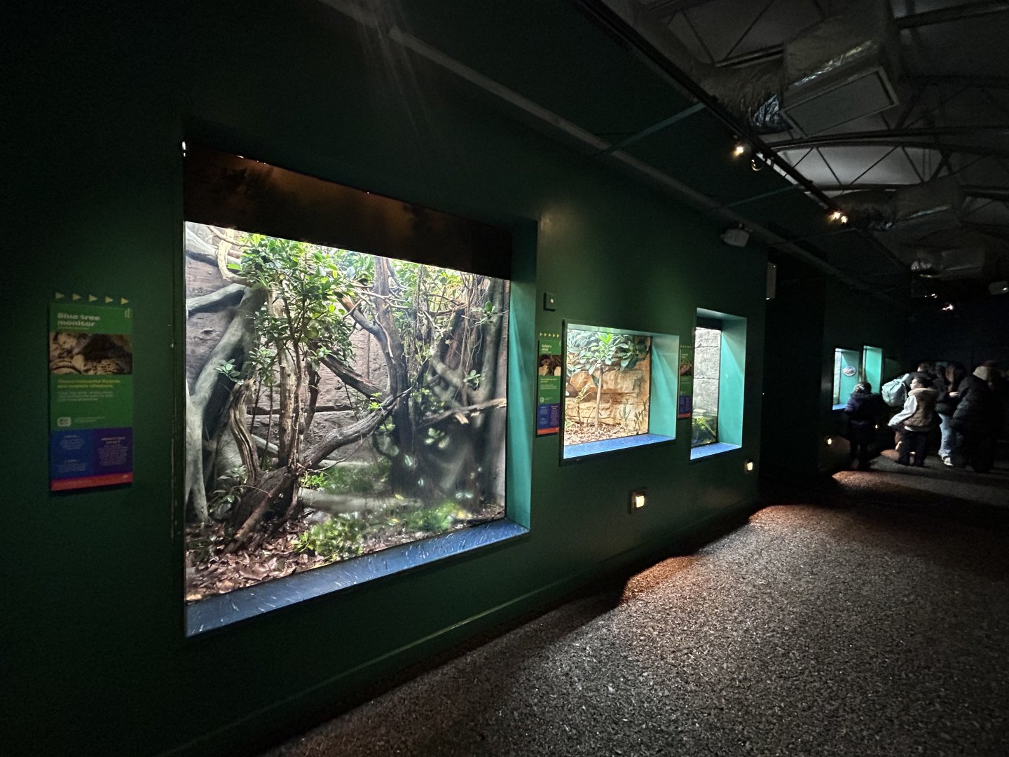 Overview - The Secret Life of Reptiles & Amphibians