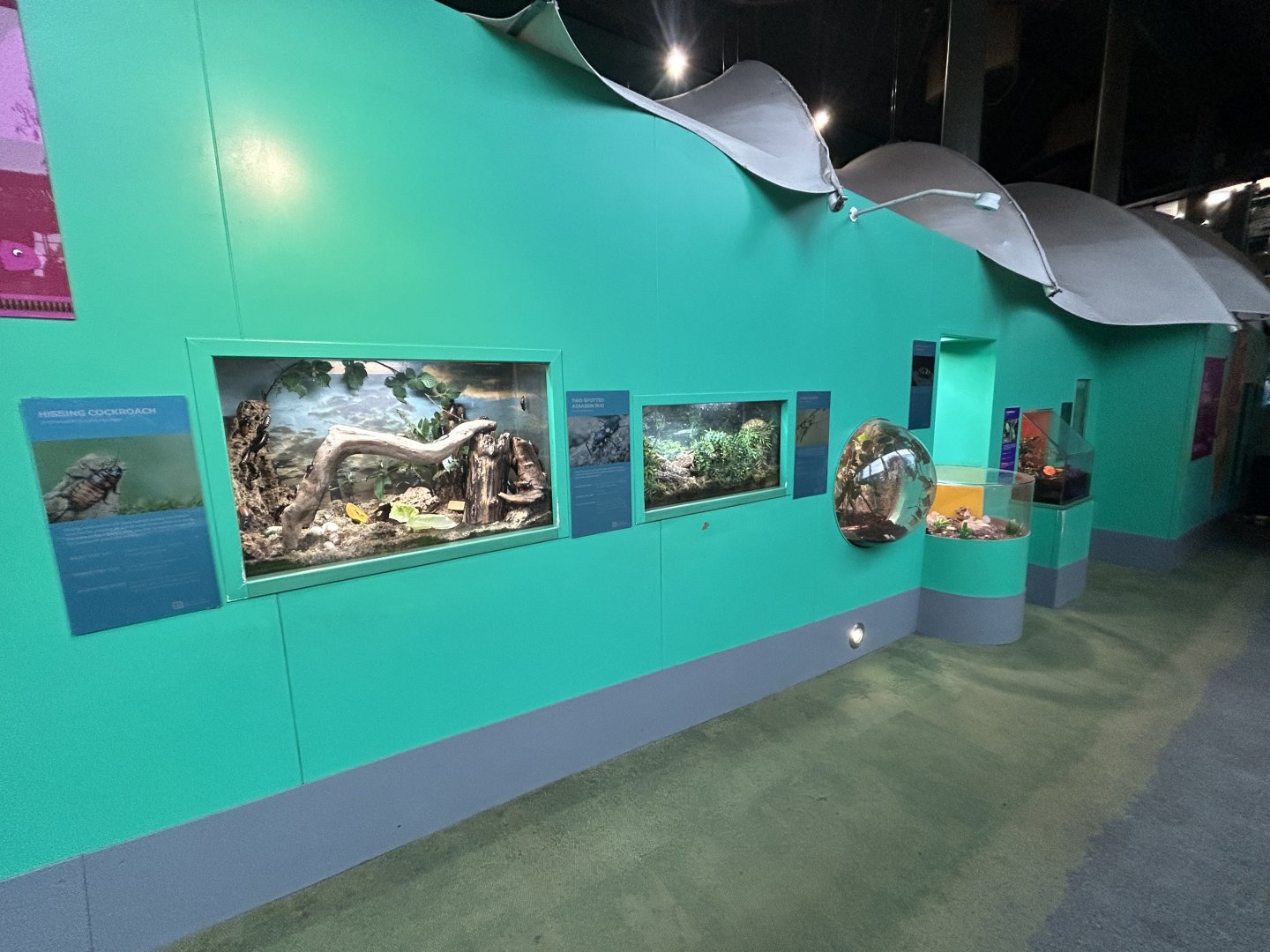 Overview - Tiny Giants