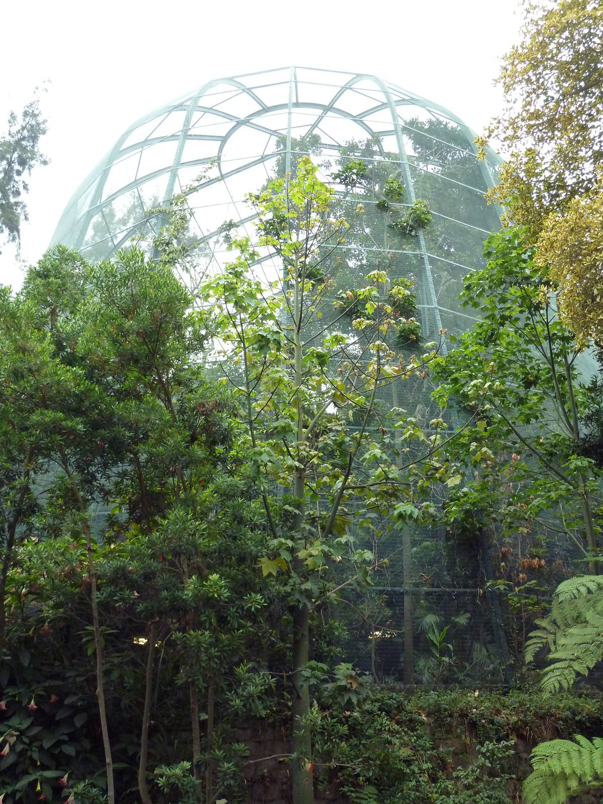 Owens Aviary (End View)