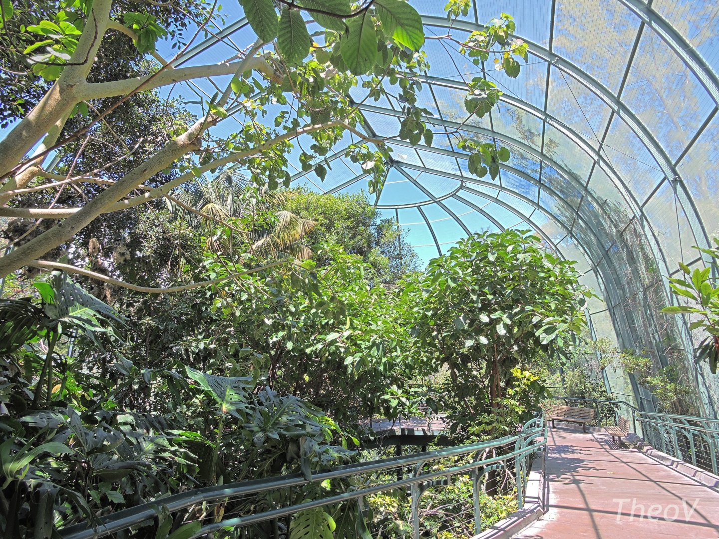 Owens Aviary - Lost Forest [2015]