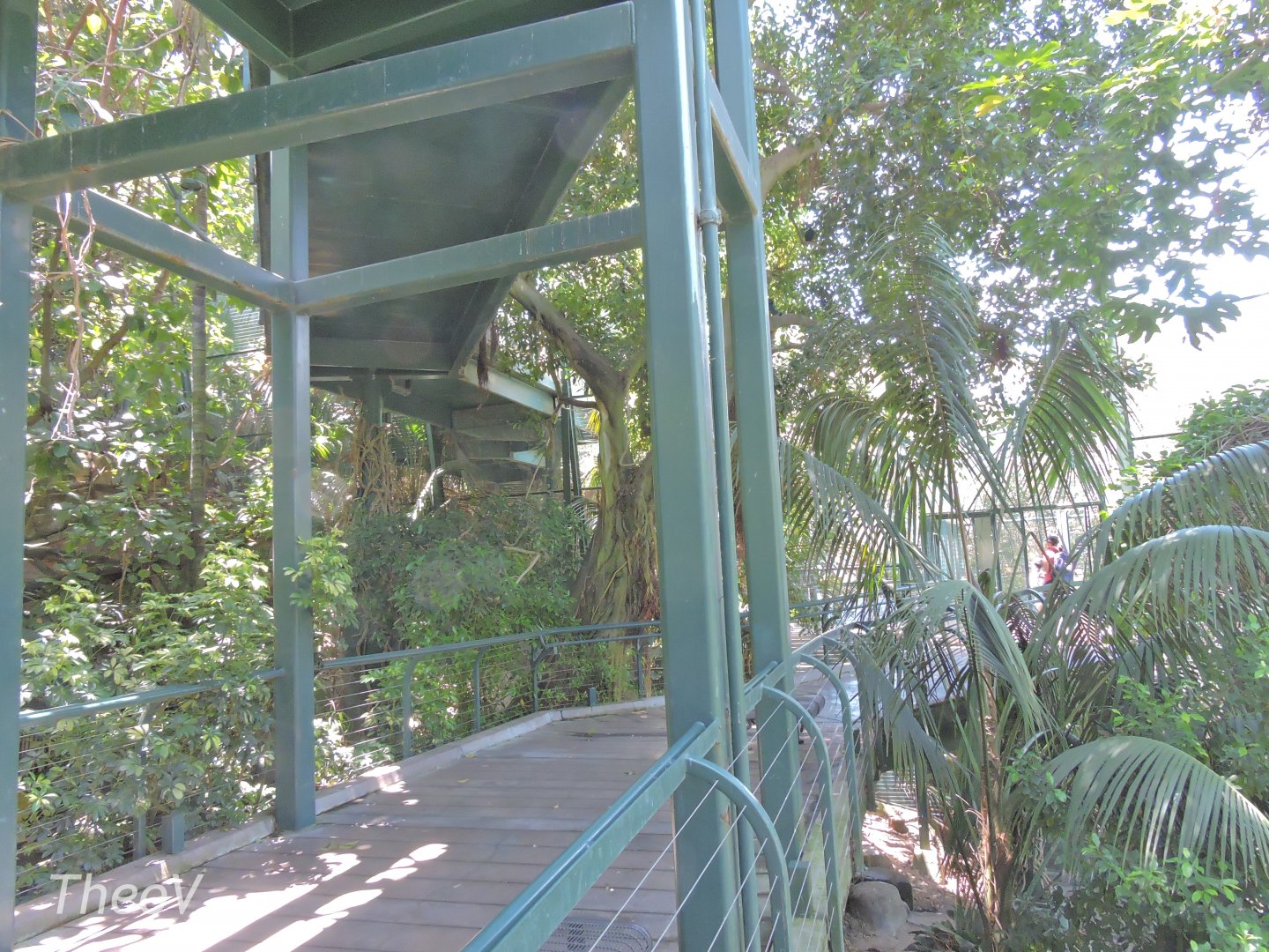 Owens Aviary - Lost Forest [2015]