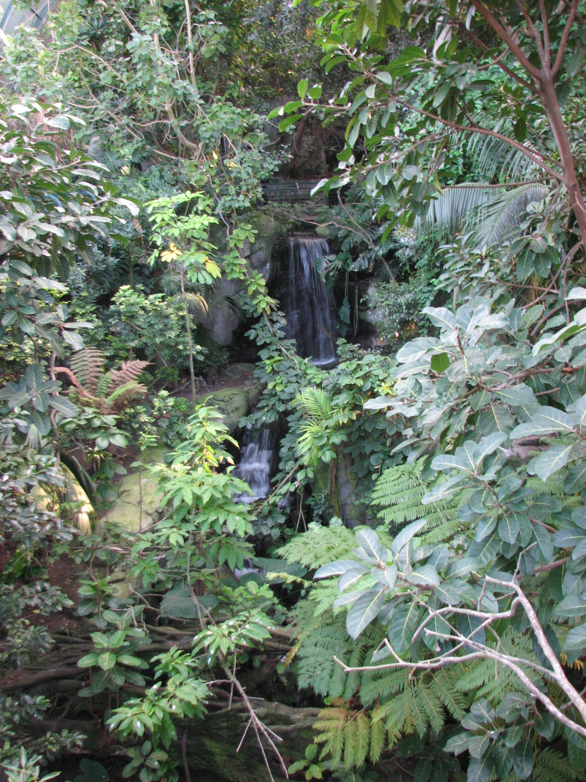 Owens Rain Forest Aviary