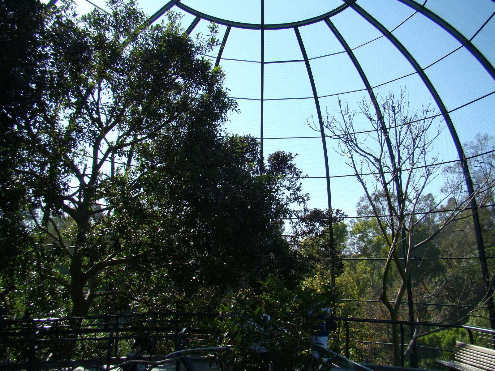 Owens Rain Forest Aviary
