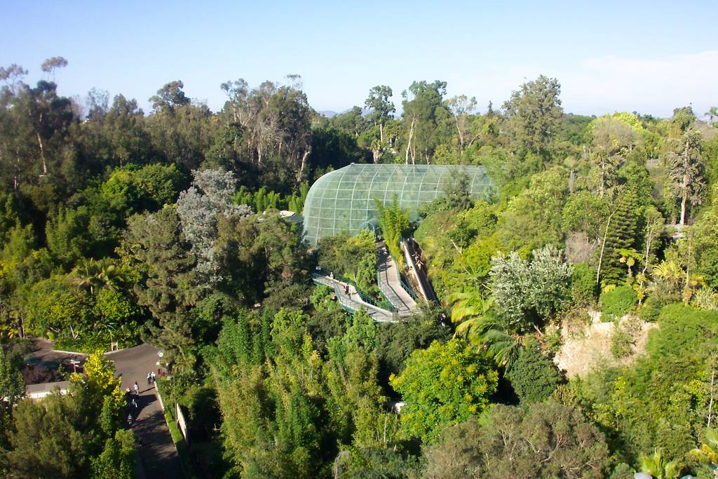 Owen's rain forest aviary