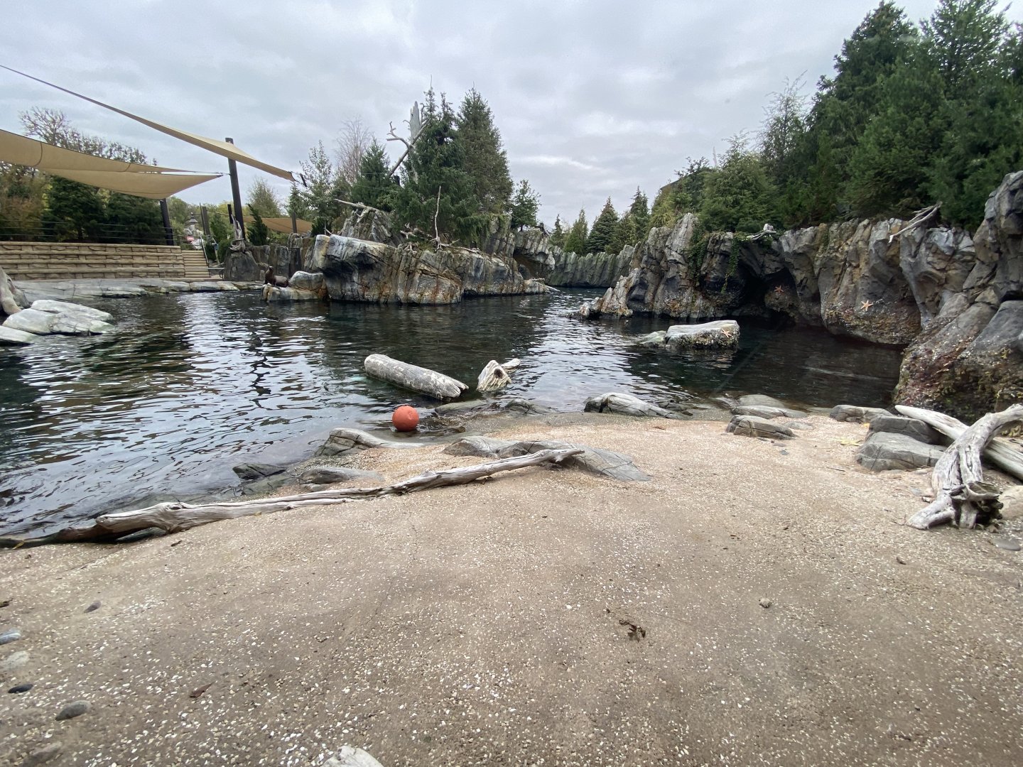 Owen’s Sea Lion Shores - California Sea Lion/Harbor Seal