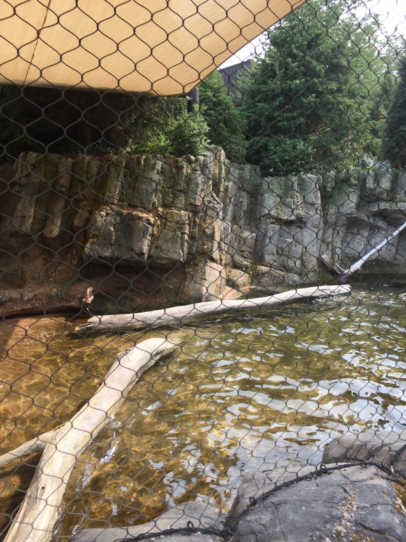 Owen's Sea Lion Shores - Pupping Beach - Sept. 2020