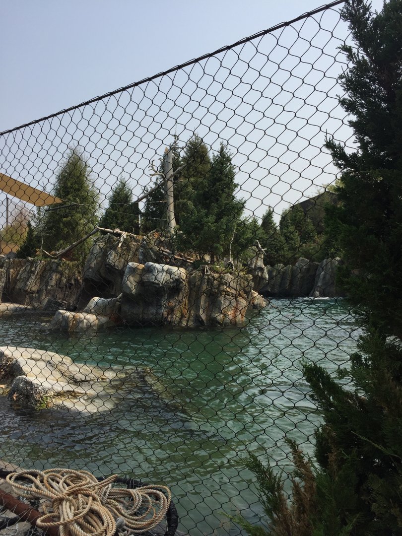 Owen's Sea Lion Shores - Sept. 2020