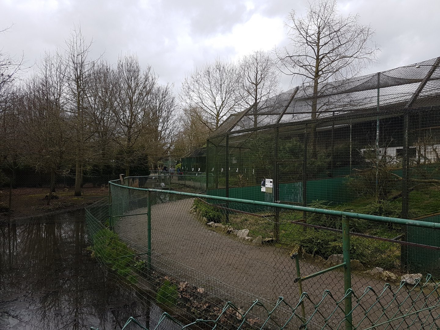 Owl and Bird of prey aviaries - and Ground hornbill
