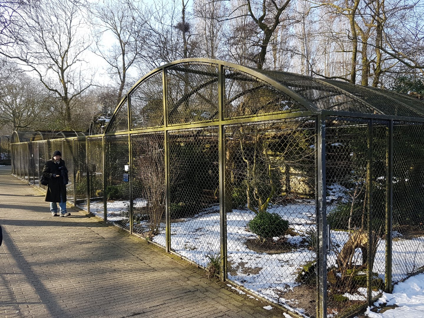 Owl- and Bird of prey aviaries