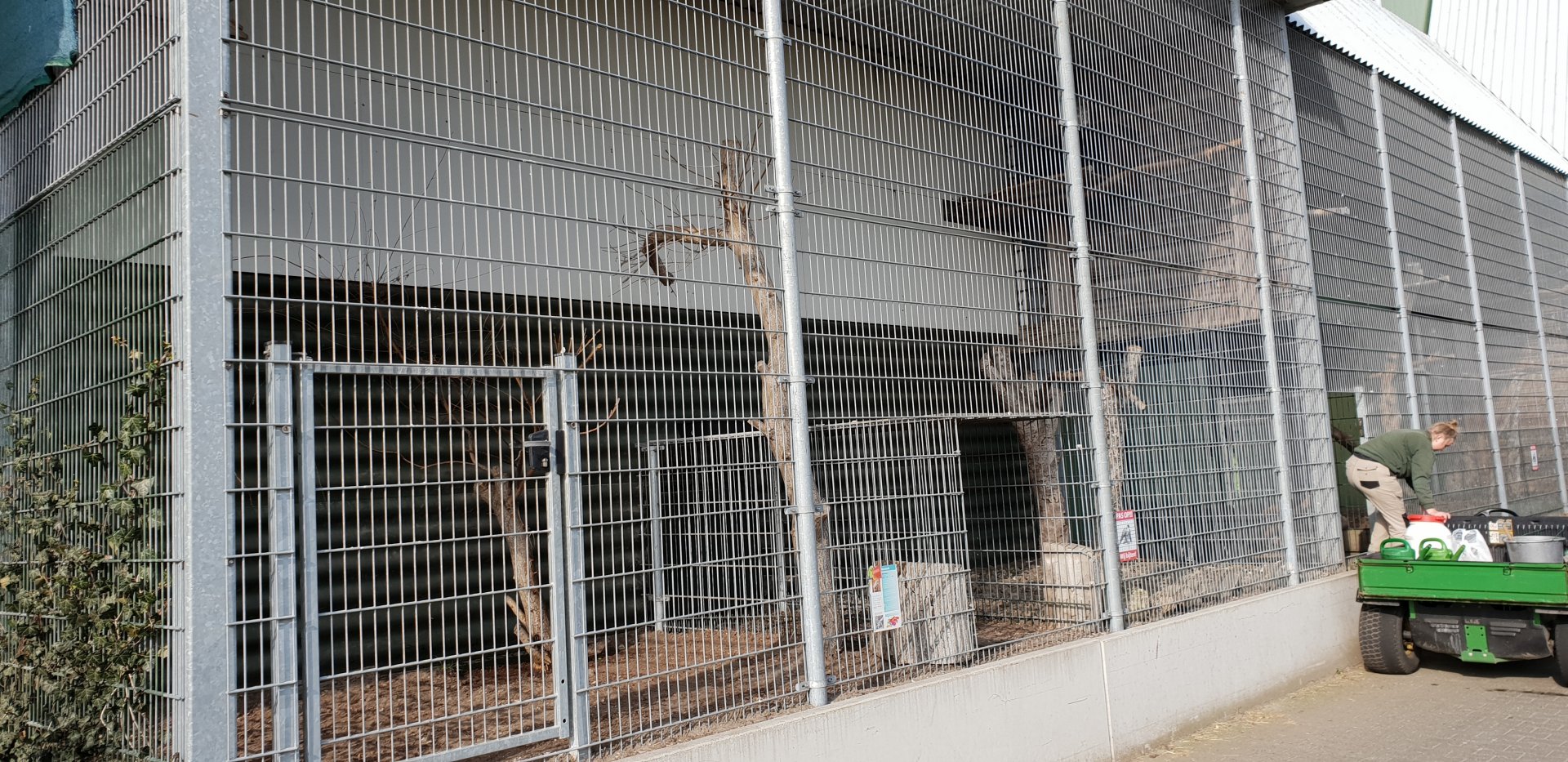 Owl and bird-of-prey aviaries