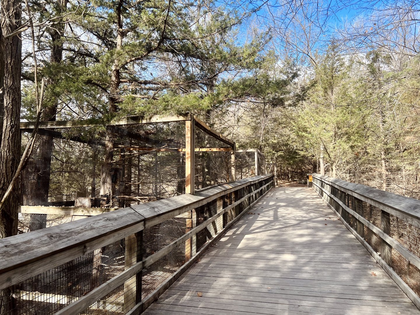 Owl and Raptor Exhibits