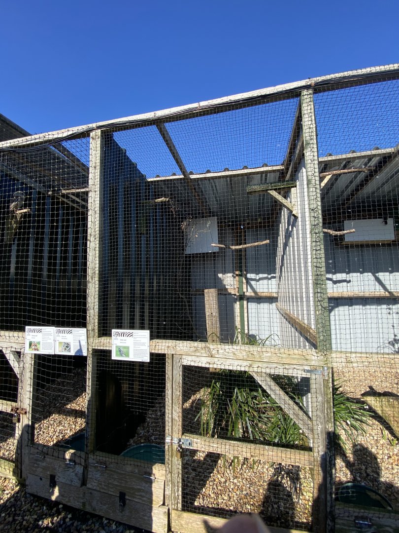 Owl aviaries 020325