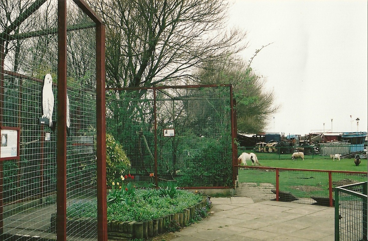 Owl aviaries and paddocks 16th April 2004