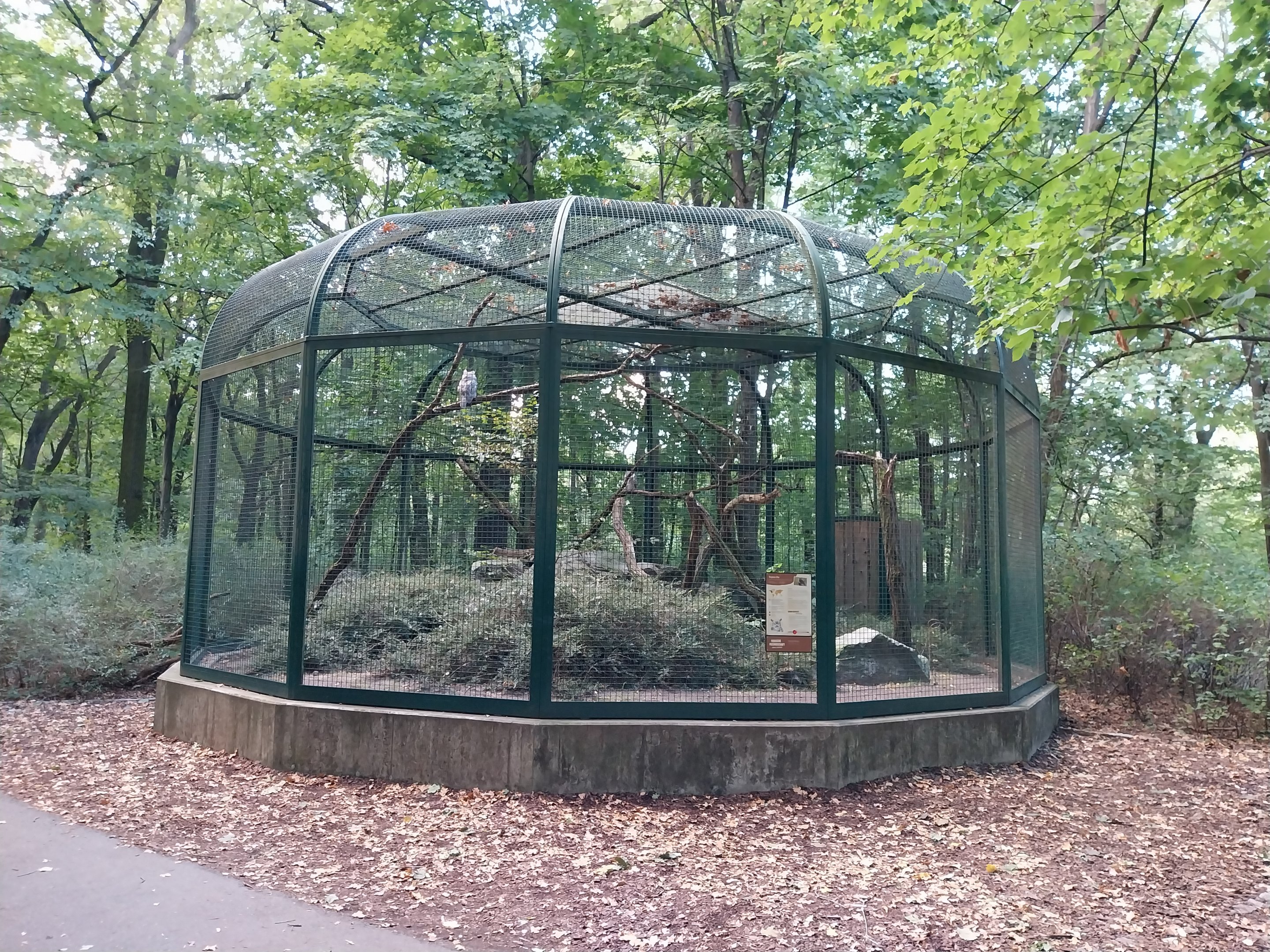 Owl Aviaries - Arctic Great Horned Owl (Bubo virginianus subarcticus)