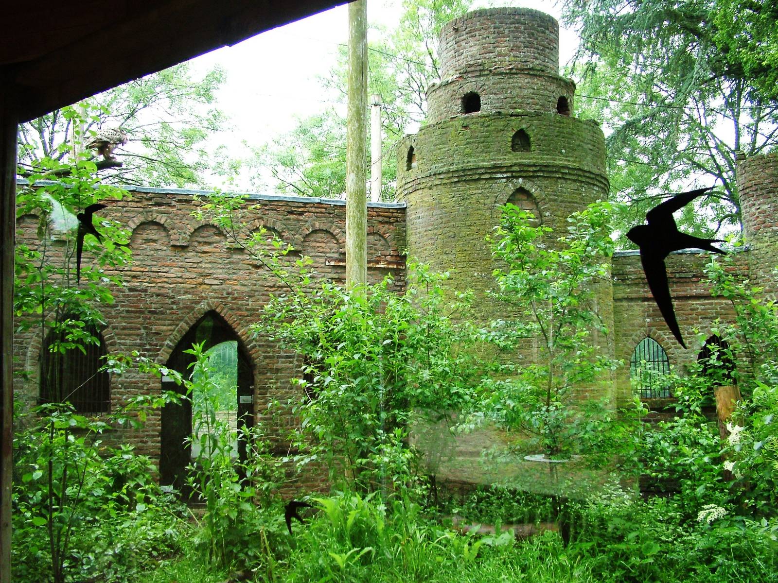 Owl Aviaries at Avifauna, 04/06/12