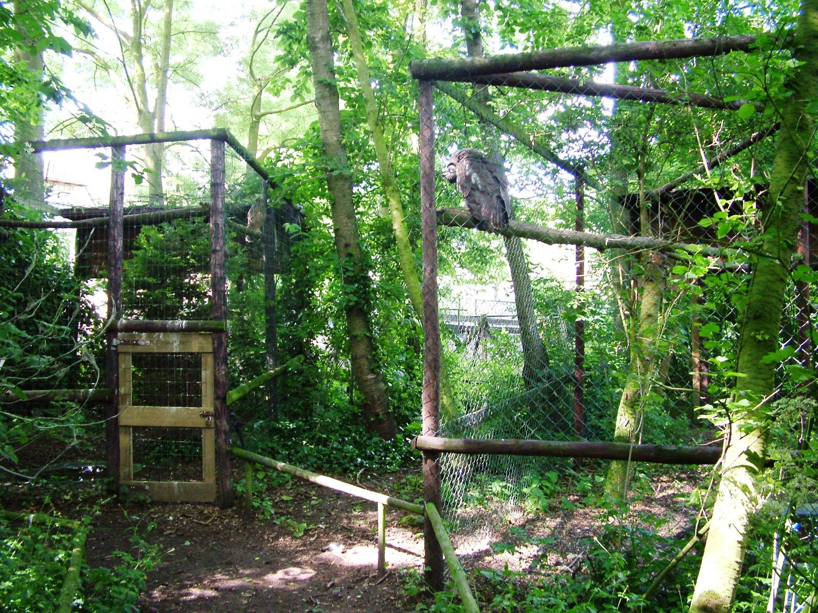 Owl Aviaries at De Paay, 02/06/12