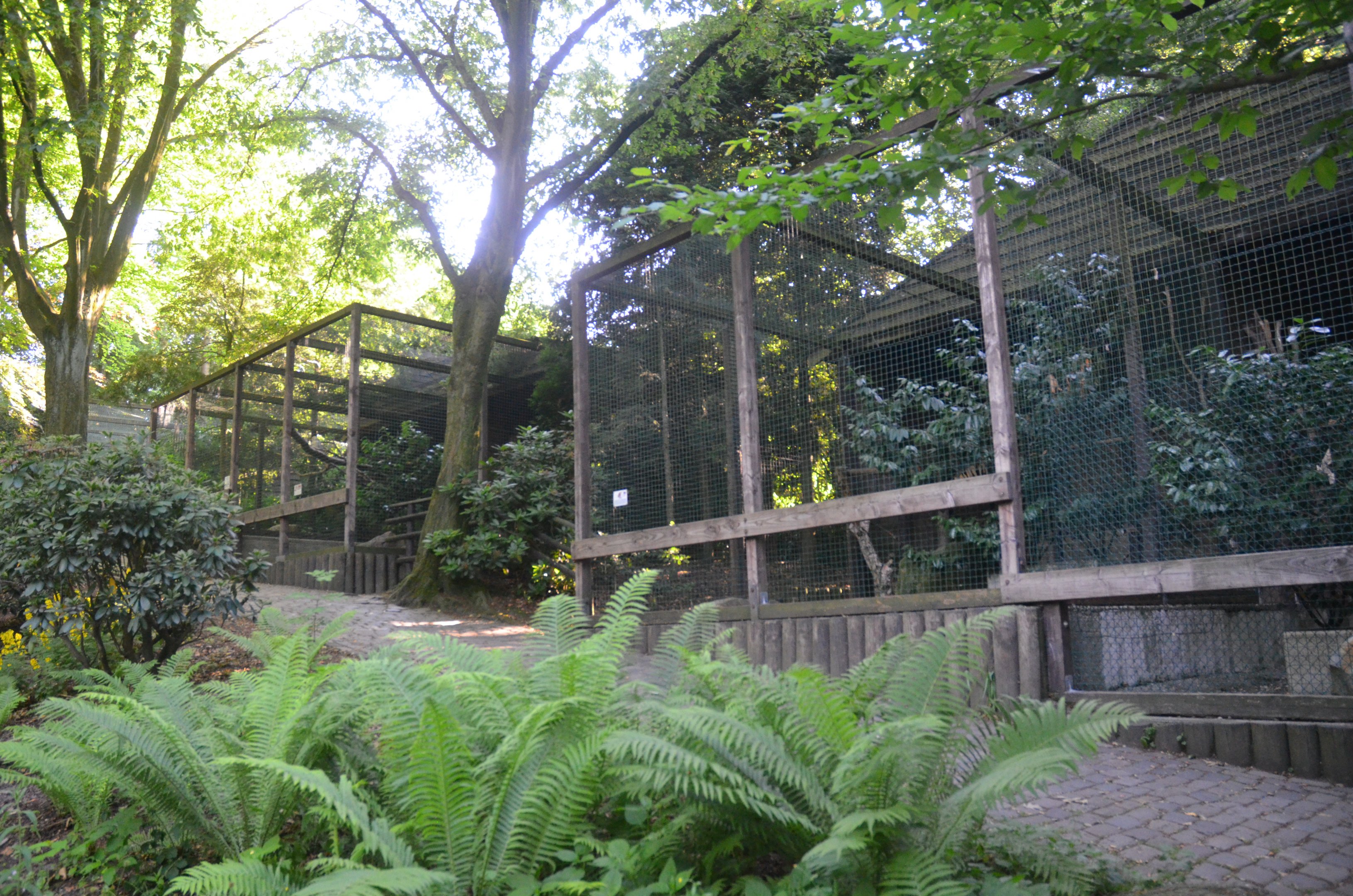 Owl Aviaries at Grugapark, 17/06/19