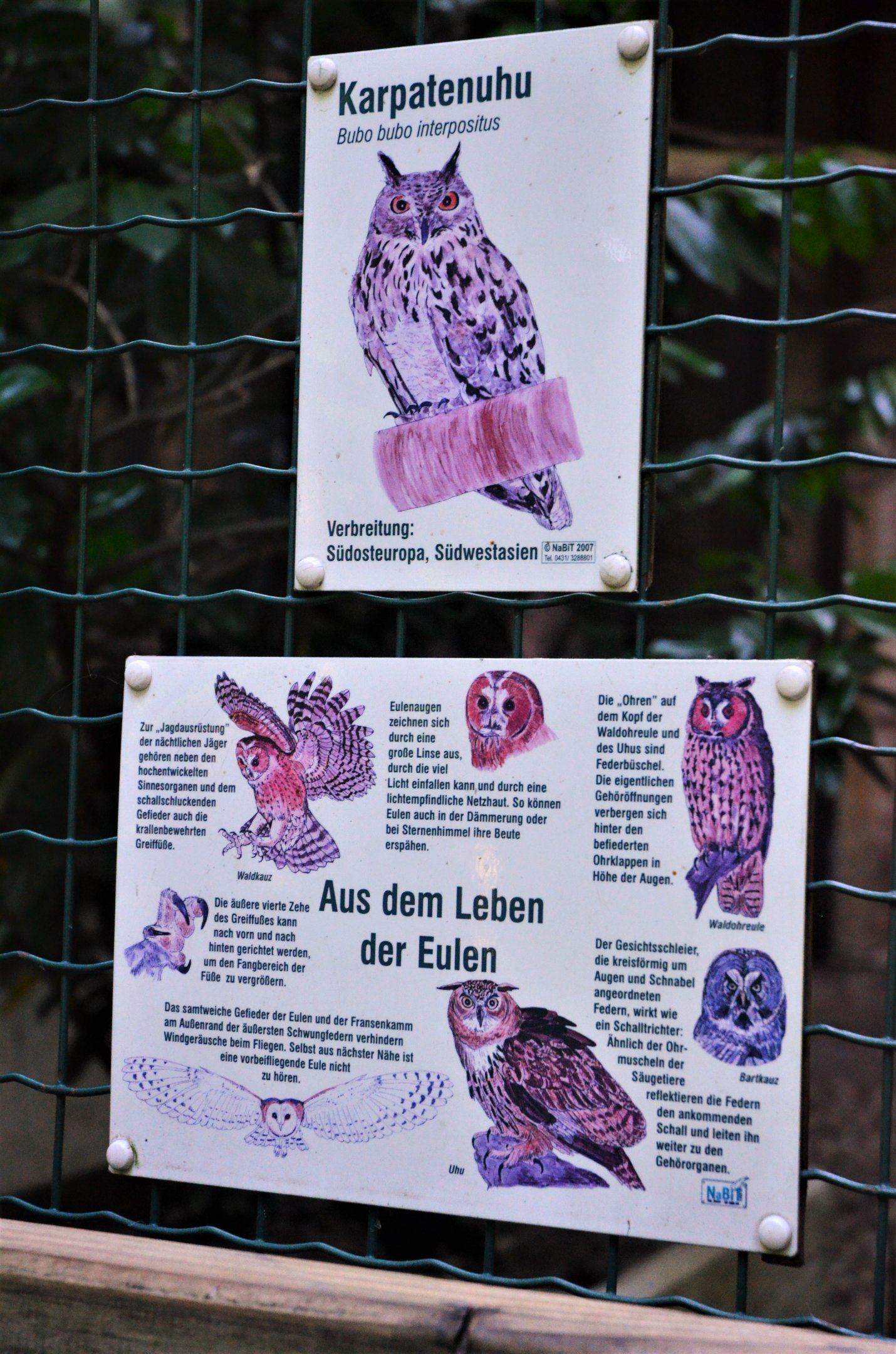 Owl Aviaries at Grugapark, 17/06/19