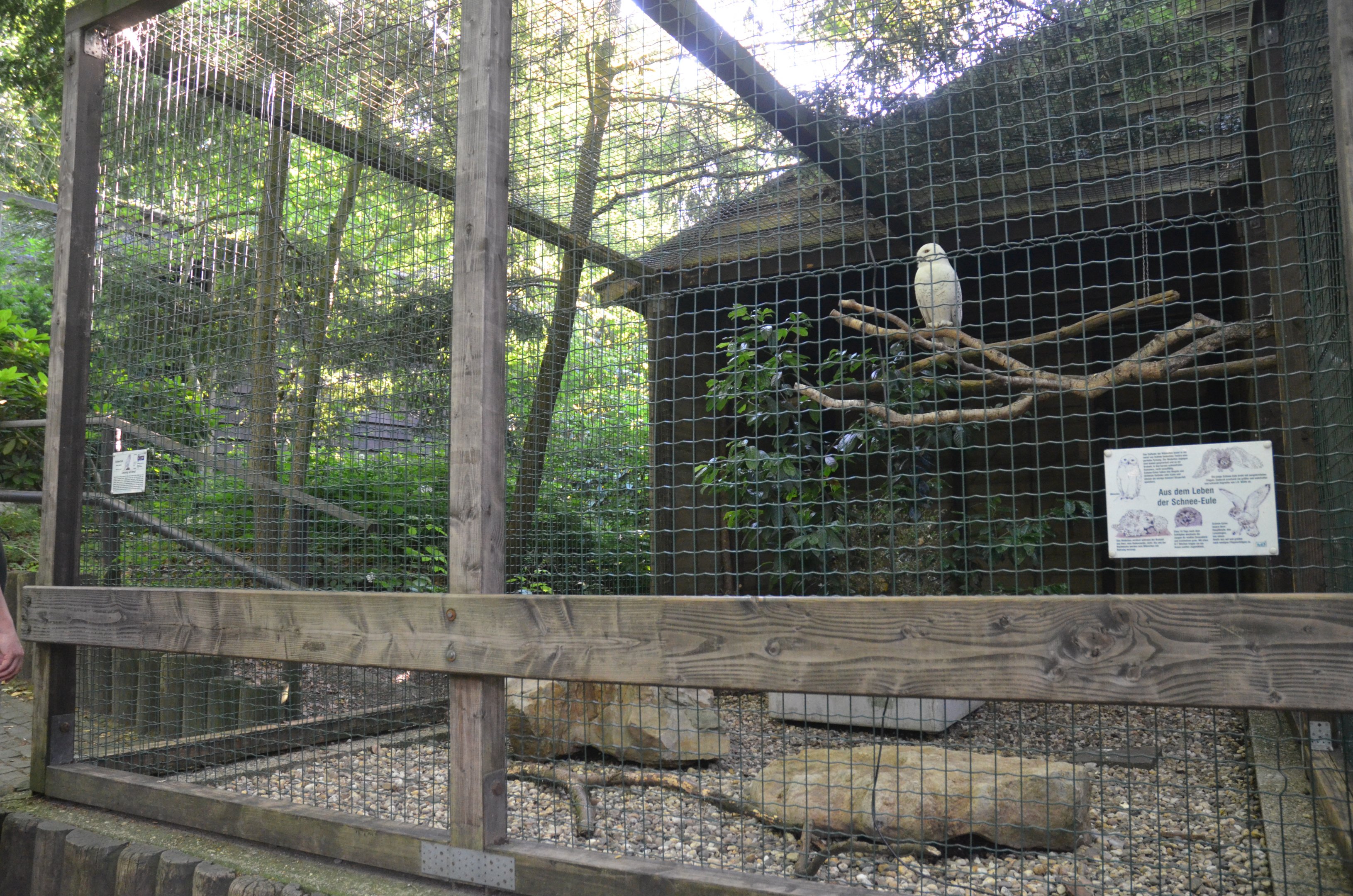 Owl Aviaries at Grugapark, 17/06/19