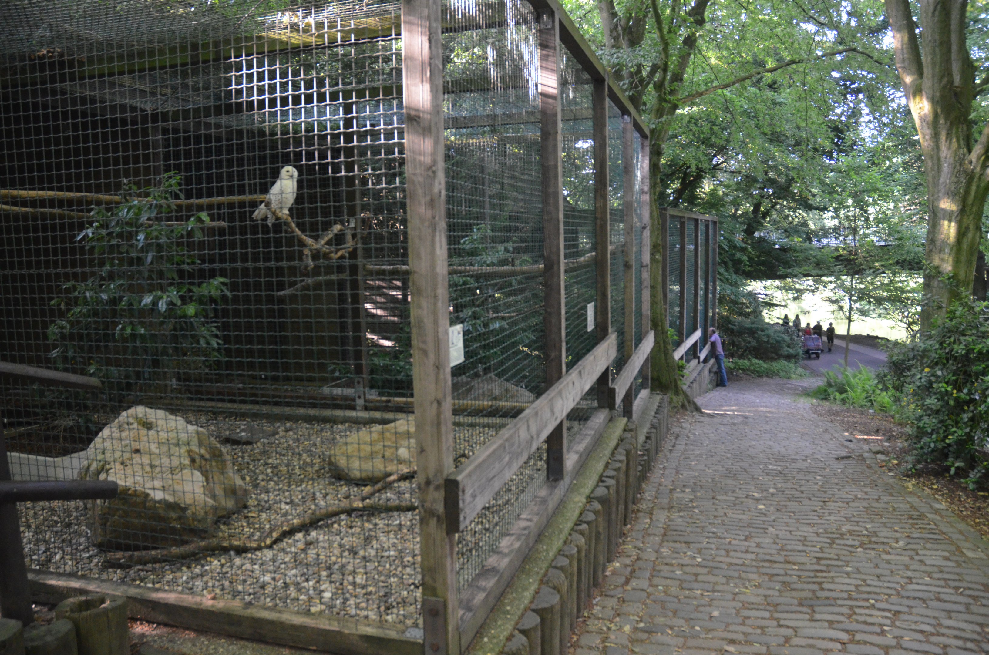 Owl Aviaries at Grugapark, 17/06/19