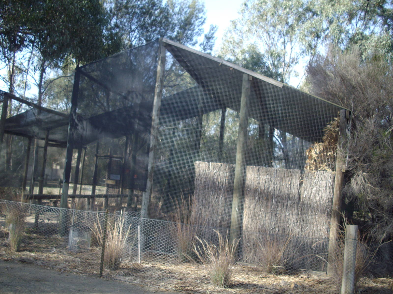 Owl Aviaries at Kyabram Fauna Park