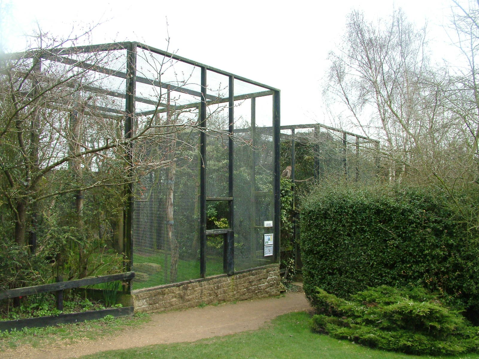 Owl aviaries at Linton 05/04/10