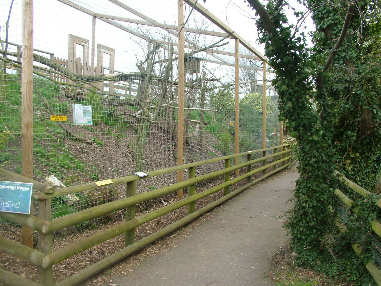 Owl aviaries at Shepreth 05/04/10