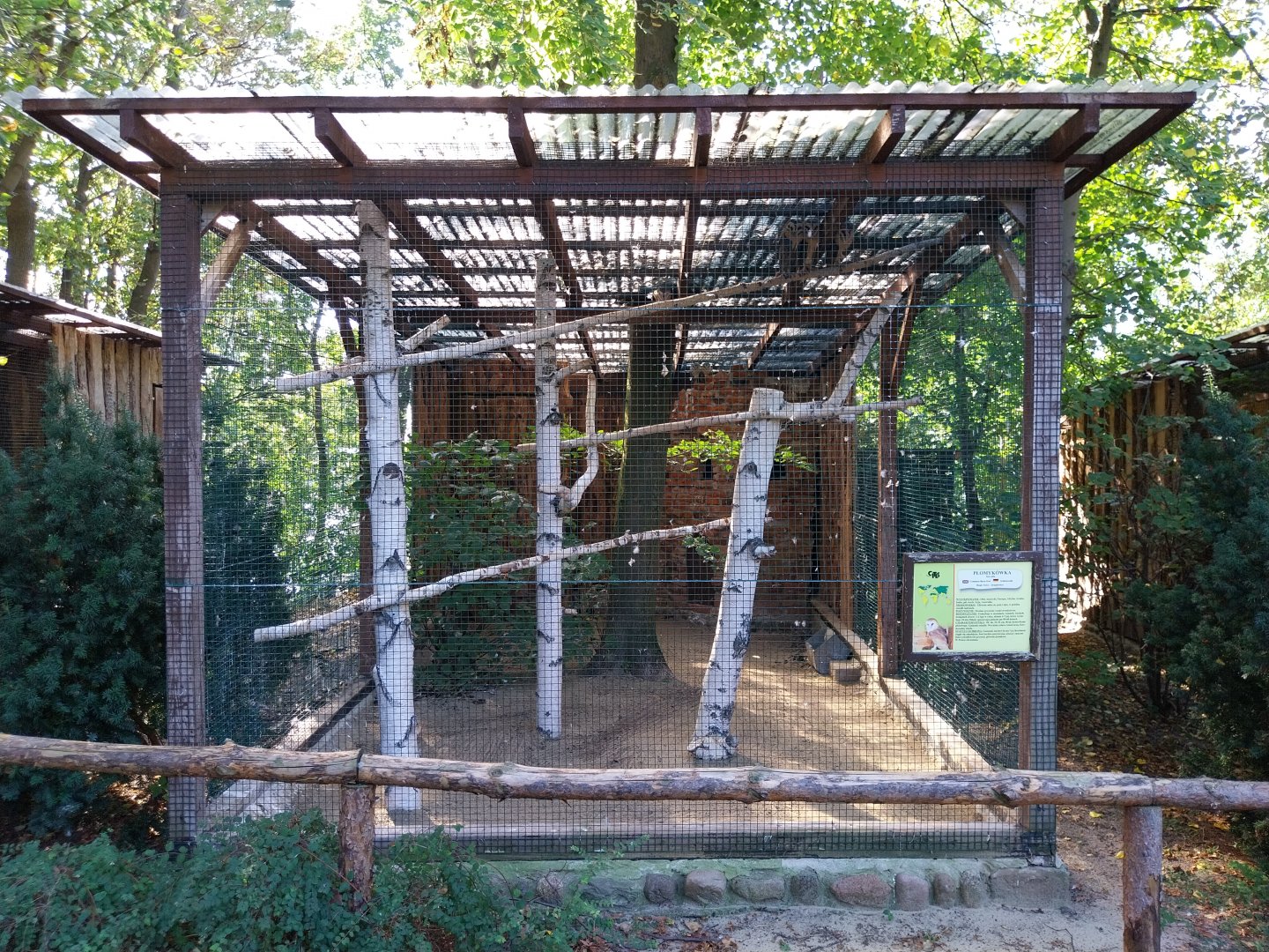 Owl aviaries - Common Barn Owl (Tyto alba)