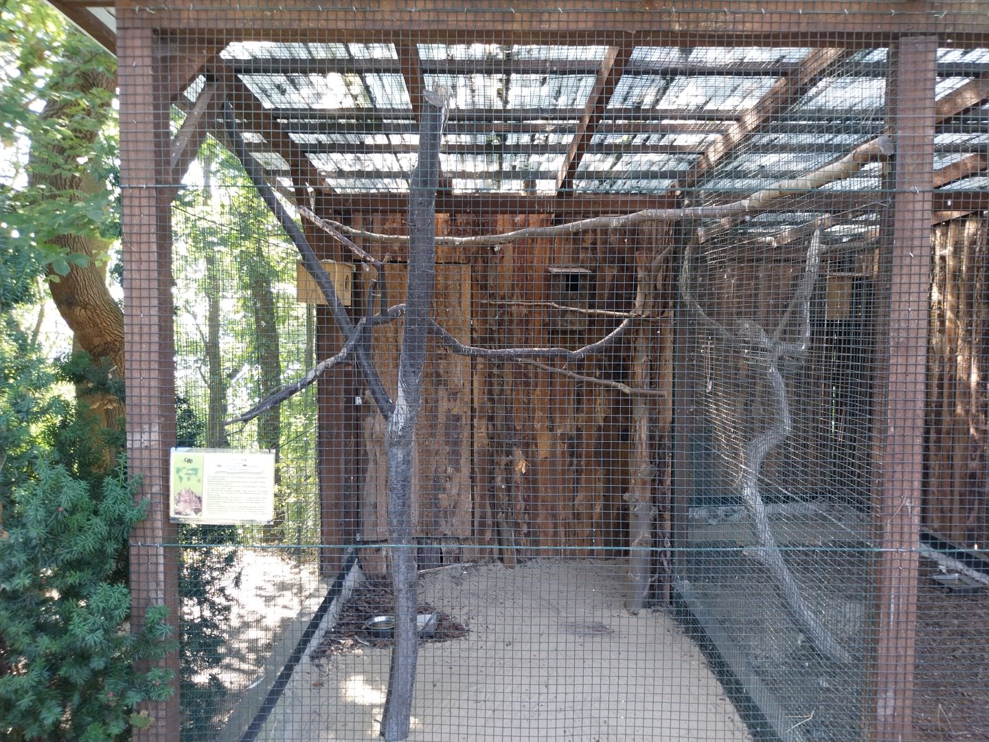 Owl aviaries - Common Scops-owl (Otus scops)