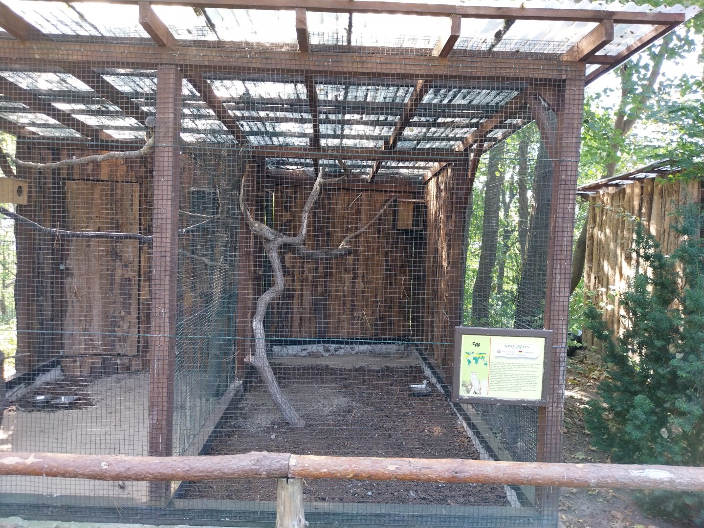 Owl aviaries - Eurasian Long-eared Owl (Asio otus otus)