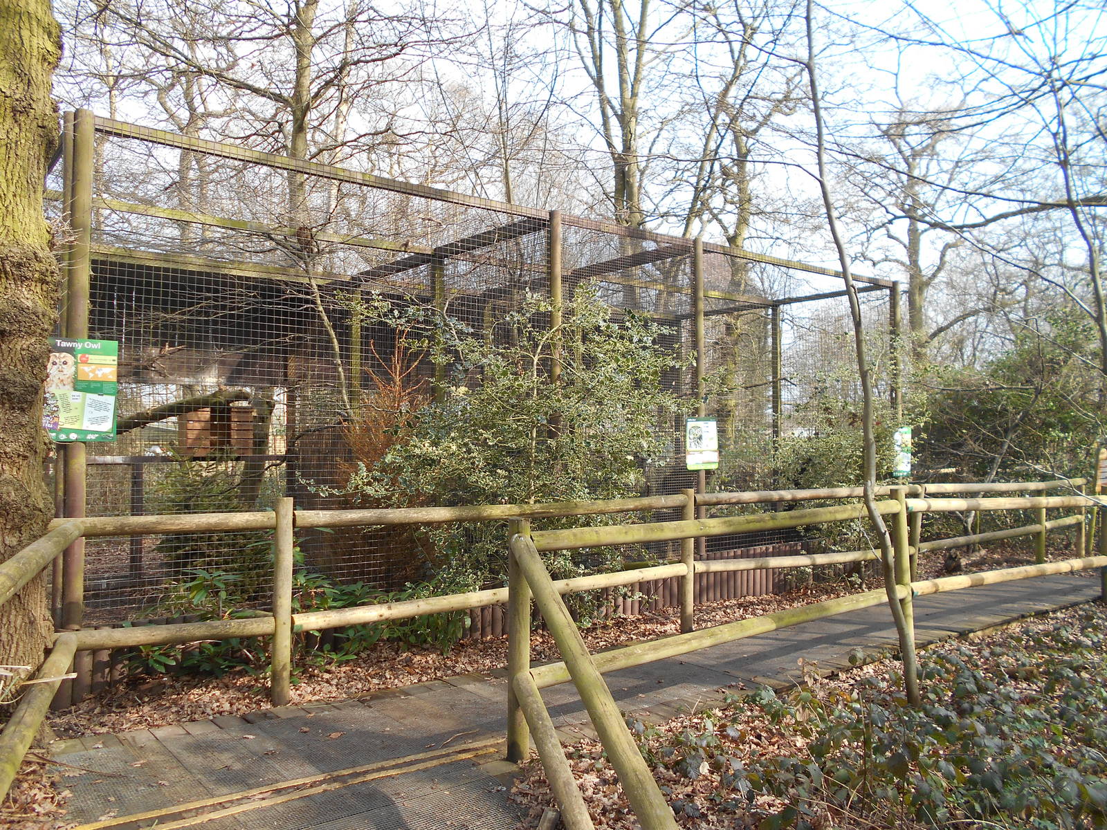 Owl aviaries - March 11th 2016