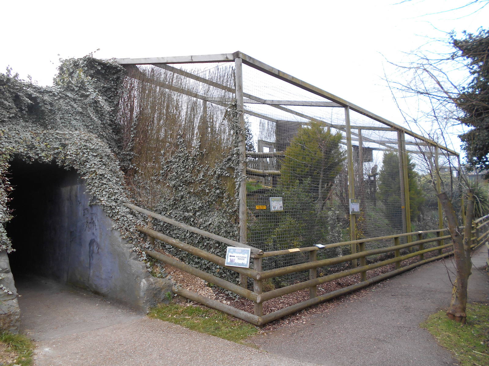 Owl aviaries - March 15th 2016