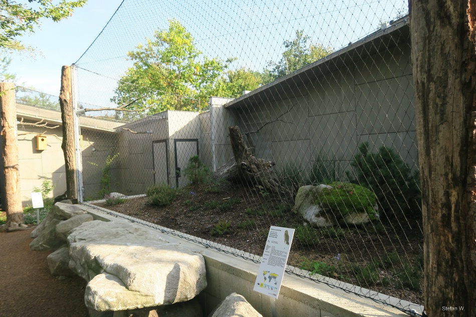 Owl Aviaries - short-eared owl