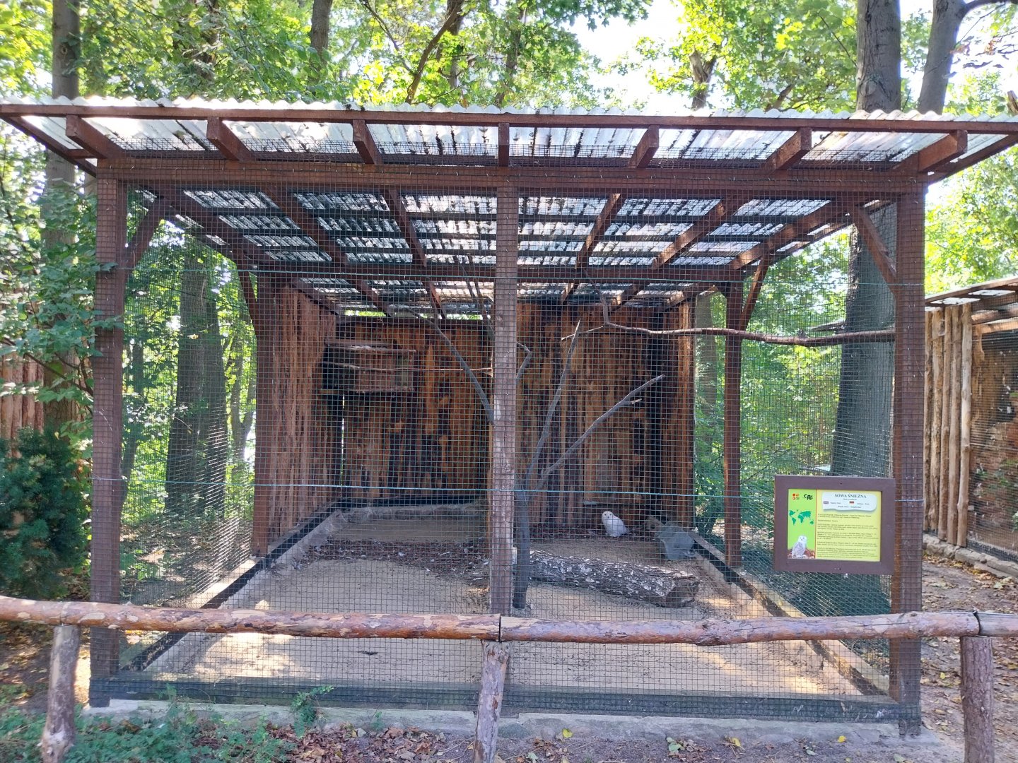 Owl aviaries - Snowy Owl (Bubo scandiacus)