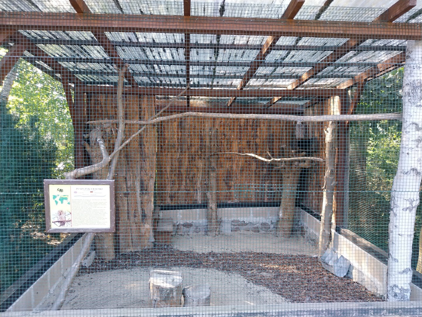 Owl aviaries - Ural Owl (Strix uralensis)