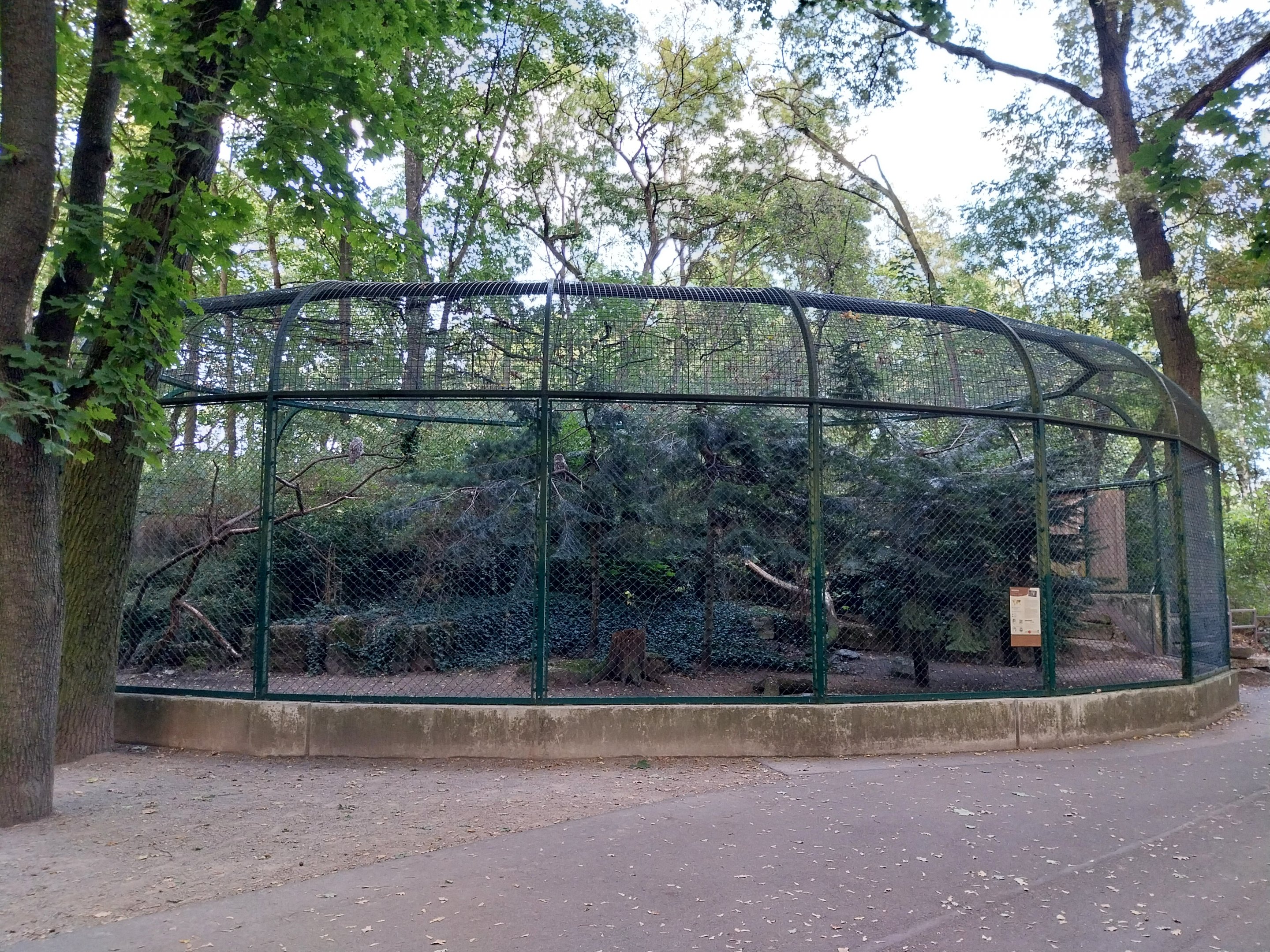 Owl Aviaries - Ural Owl (Strix uralensis)