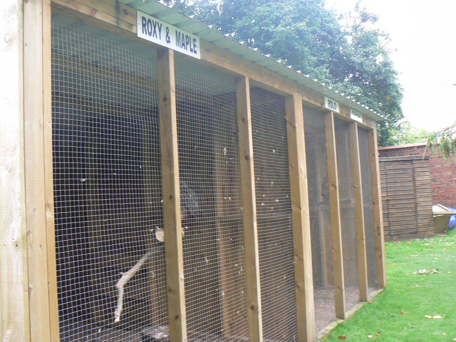 Owl Aviaries