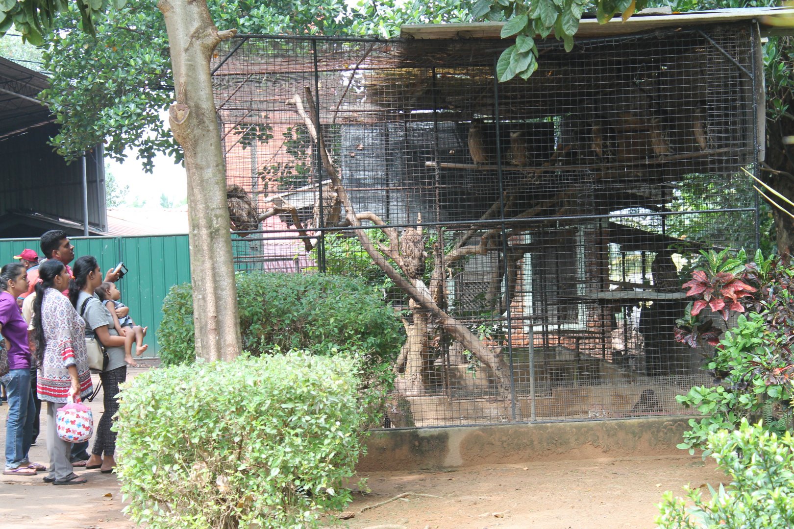 owl aviaries